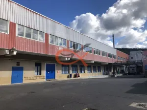 Pronájem komerční nemovitosti, Kraslice, Dukelská, 800 m2