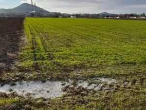 Pronájem zahrady, Kopřivnice, 700 m2