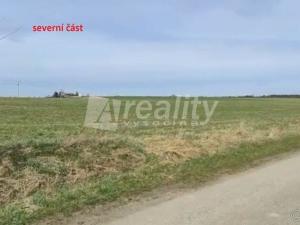 Prodej zemědělské půdy, Ledenice - Zborov, 20717 m2