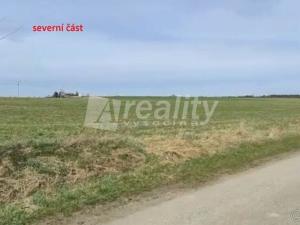 Prodej zemědělské půdy, Ledenice - Zborov, 20717 m2