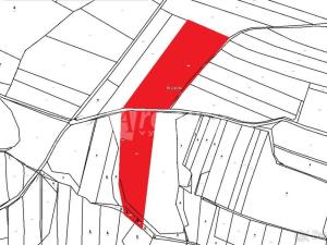 Prodej zemědělské půdy, Ledenice - Zborov, 20717 m2