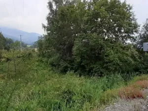 Prodej trvalého travního porostu, Loučná nad Desnou, 2427 m2