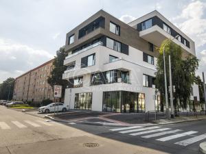 Prodej bytu 2+kk, Praha - Břevnov, U Petřin, 62 m2