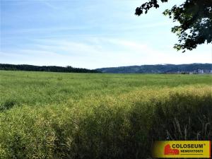 Prodej zemědělské půdy, Letovice, 7225 m2