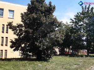 Prodej garážového stání, Jihlavská, 14 m2
