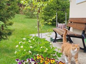 Prodej rodinného domu, Valy, Na Stráni, 170 m2