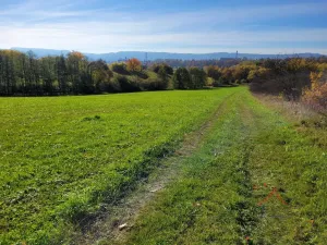 Prodej louky, Broumov, 52559 m2