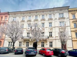 Pronájem bytu 5+kk, Brno - Veveří, Jaselská, 300 m2