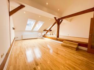 Pronájem bytu 5+kk, Brno - Veveří, Jaselská, 300 m2