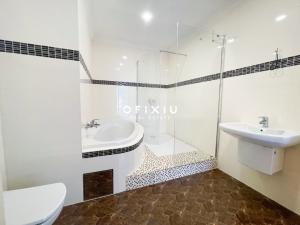 Pronájem bytu 5+kk, Brno - Veveří, Jaselská, 300 m2