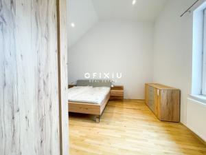 Pronájem bytu 5+kk, Brno - Veveří, Jaselská, 300 m2