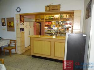 Prodej obchodního prostoru, Borotice, 290 m2