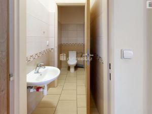 Pronájem kanceláře, Opava - Kateřinky, U Cukrovaru, 12 m2