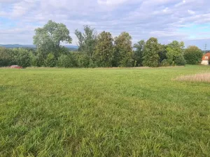 Prodej komerčního pozemku, Karlovy Vary, 3105 m2