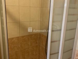Pronájem bytu 1+kk, Zenklova, 17 m2
