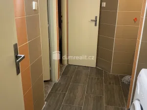 Pronájem bytu 1+kk, Zenklova, 17 m2