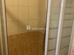 Pronájem bytu 1+kk, Zenklova, 17 m2