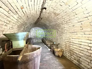 Prodej vinného sklepa, Jaroslavice, 31 m2