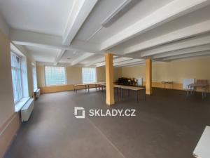 Pronájem skladu, Ústí nad Labem - Střekov, 1520 m2