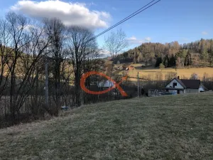 Prodej trvalého travního porostu, Valašská Bystřice, 2064 m2