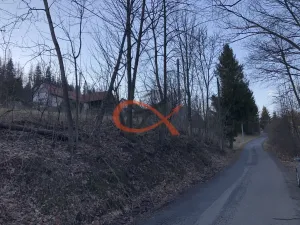 Prodej trvalého travního porostu, Valašská Bystřice, 2064 m2