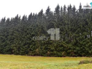 Prodej lesa, Meziměstí - Ruprechtice, 8014 m2