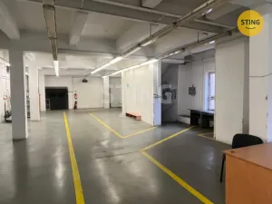 Pronájem skladu, Opava, Rybářská, 320 m2