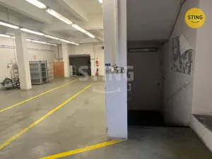 Pronájem skladu, Opava, Rybářská, 320 m2