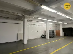 Pronájem skladu, Opava, Rybářská, 320 m2