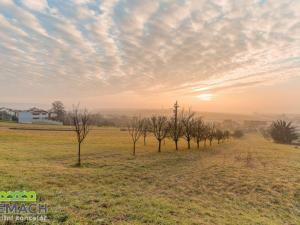 Prodej pozemku pro bydlení, Uherský Brod - Těšov, 1721 m2