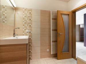 Pronájem bytu 2+kk, Olomouc, Rybniční, 60 m2