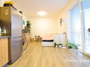 Pronájem bytu 1+kk, Brno, Svitavská, 29 m2