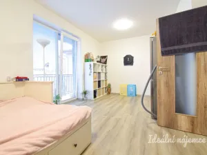 Pronájem bytu 1+kk, Brno, Svitavská, 29 m2
