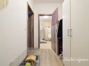 Pronájem bytu 1+kk, Brno, Svitavská, 29 m2