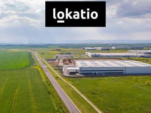 Pronájem skladu, Žatec, 20000 m2