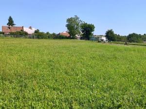 Prodej pozemku pro bydlení, Beňov, 5182 m2