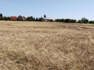 Prodej pozemku pro bydlení, Beňov, 5182 m2