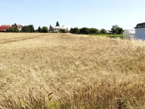 Prodej pozemku pro bydlení, Beňov, 5182 m2