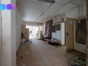 Pronájem obchodního prostoru, Přerov, Kratochvílova, 398 m2