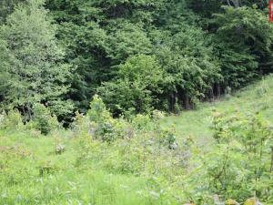 Prodej pozemku pro komerční výstavbu, Horní Heřmanice, 4584 m2