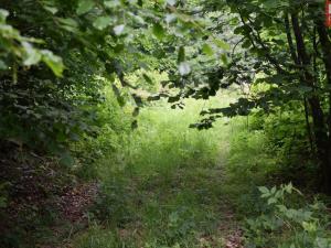 Prodej pozemku pro komerční výstavbu, Horní Heřmanice, 4584 m2