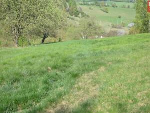 Prodej pozemku pro bydlení, Domašov nad Bystřicí, 11569 m2