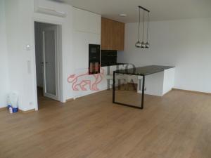Pronájem bytu 1+kk, Olomouc - Nová Ulice, 57 m2