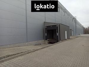 Pronájem skladu, Hradec Králové - Malšovice, 1000 m2