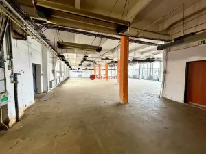 Pronájem výrobních prostor, Pelhřimov, Křemešnická, 1000 m2