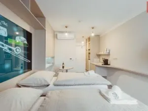 Pronájem bytu 1+kk, Nezvalova, 21 m2