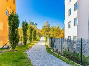 Pronájem bytu 1+kk, České Budějovice - České Budějovice 2, Husova tř., 38 m2