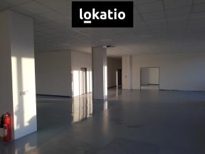 Pronájem skladu, Hradec Králové - Pražské Předměstí, 830 m2
