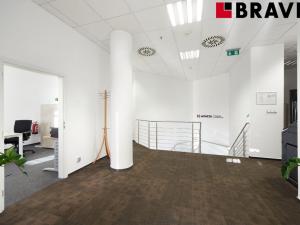 Pronájem obchodního prostoru, Brno - Brno-město, Orlí, 231 m2