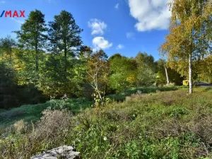 Prodej pozemku pro bydlení, Lampertice, 3749 m2